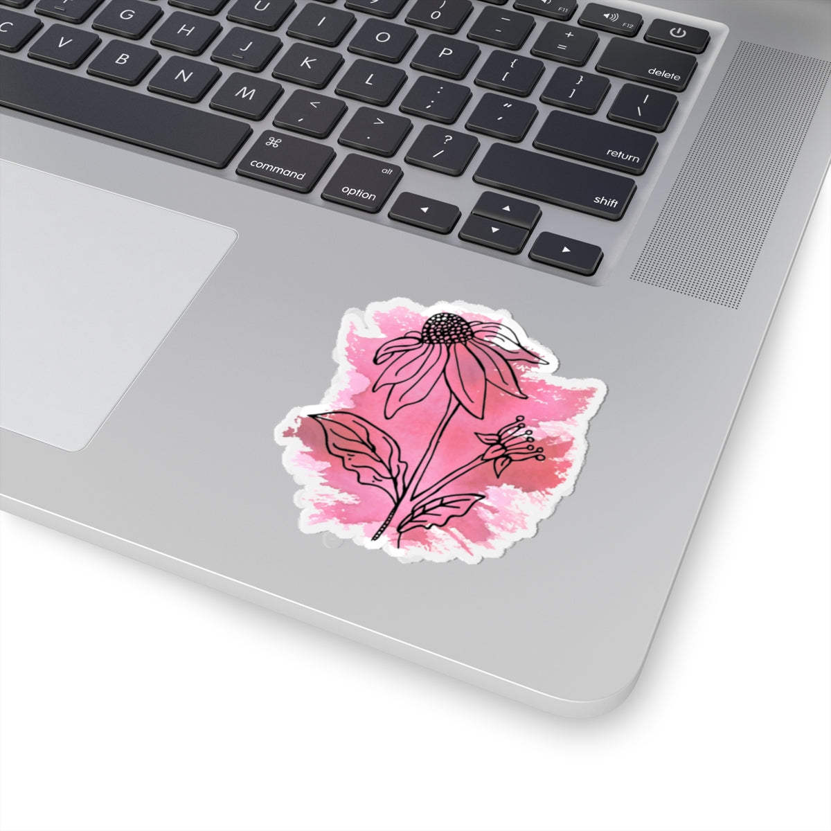 Echincea— Kiss-Cut Decal