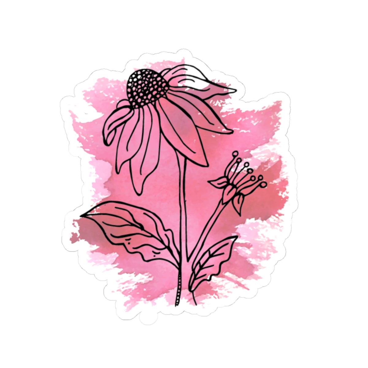 Echincea— Kiss-Cut Decal