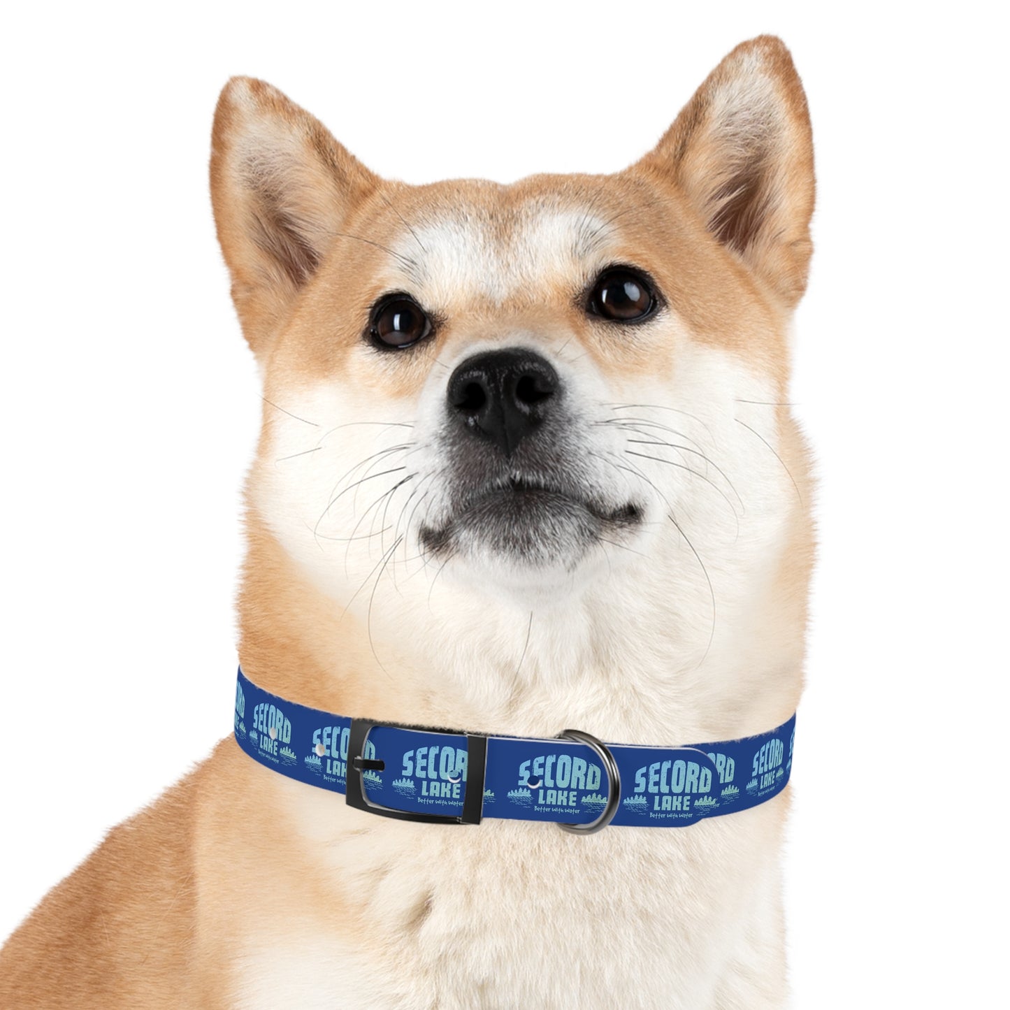 "Secord Lake, Better With Water" Dog Collar