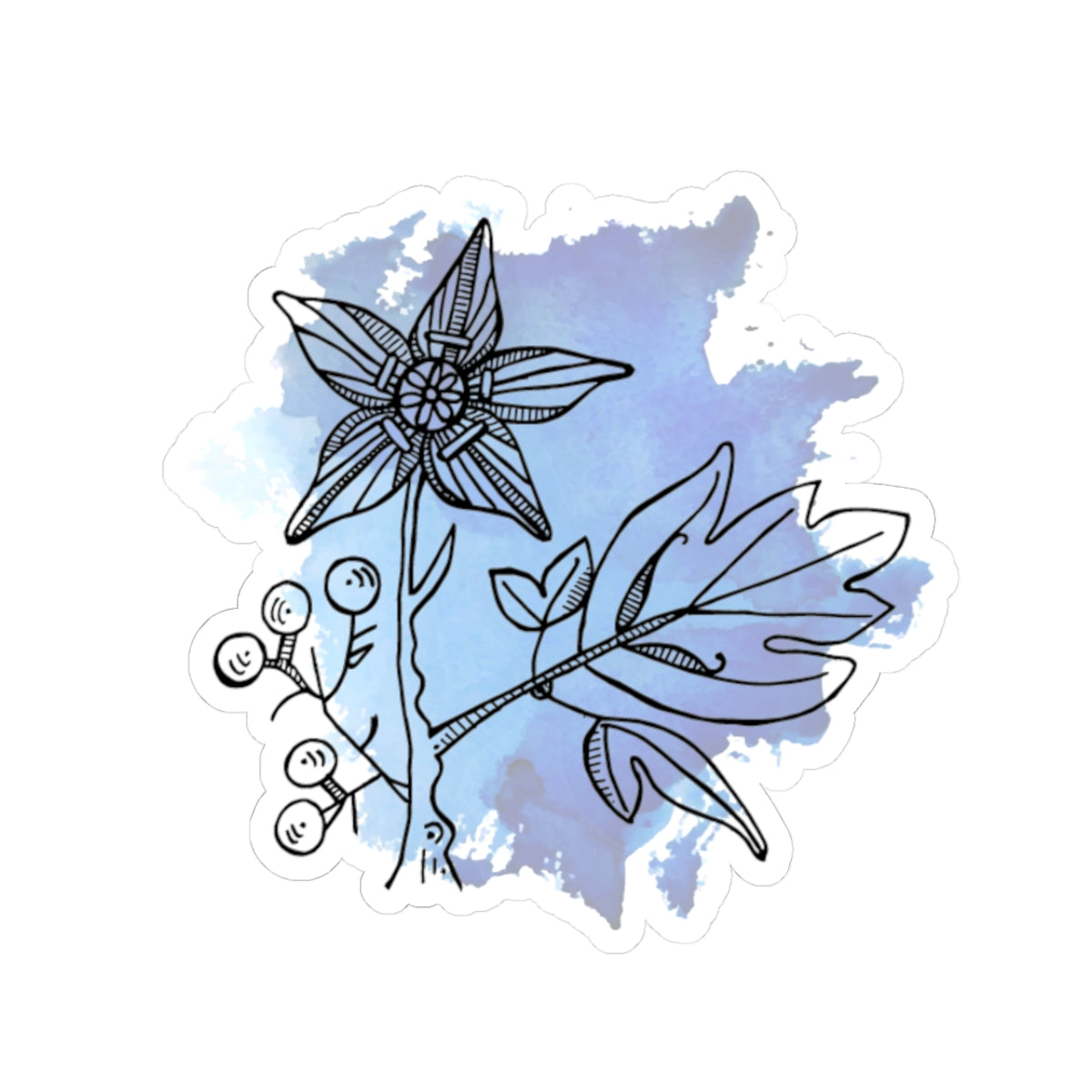 Blue Cohosh— Kiss-Cut Decal
